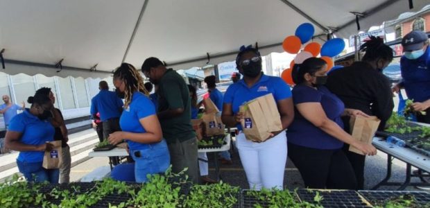 Island Finance donates seedlings to the community