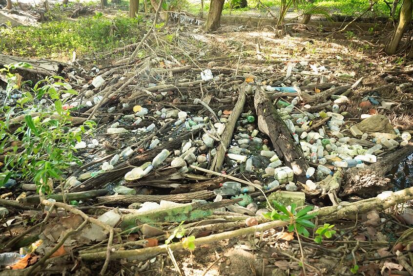 Trash - International Coastal Cleanup Trinidad & Tobago - Island Finance - September 2023